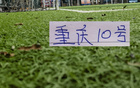 少见！重庆10号阿马杜 跟申花10号特谢拉一起入选第8轮MVP候选