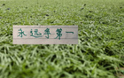 没料到！今年北京国安最能跑的球员是塞鸟 5月球队逆袭 还得靠他