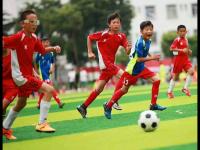 武汉三镇VS浙江俱乐部绿城直播即将武汉三镇对阵浙江俱乐部绿城免费直播